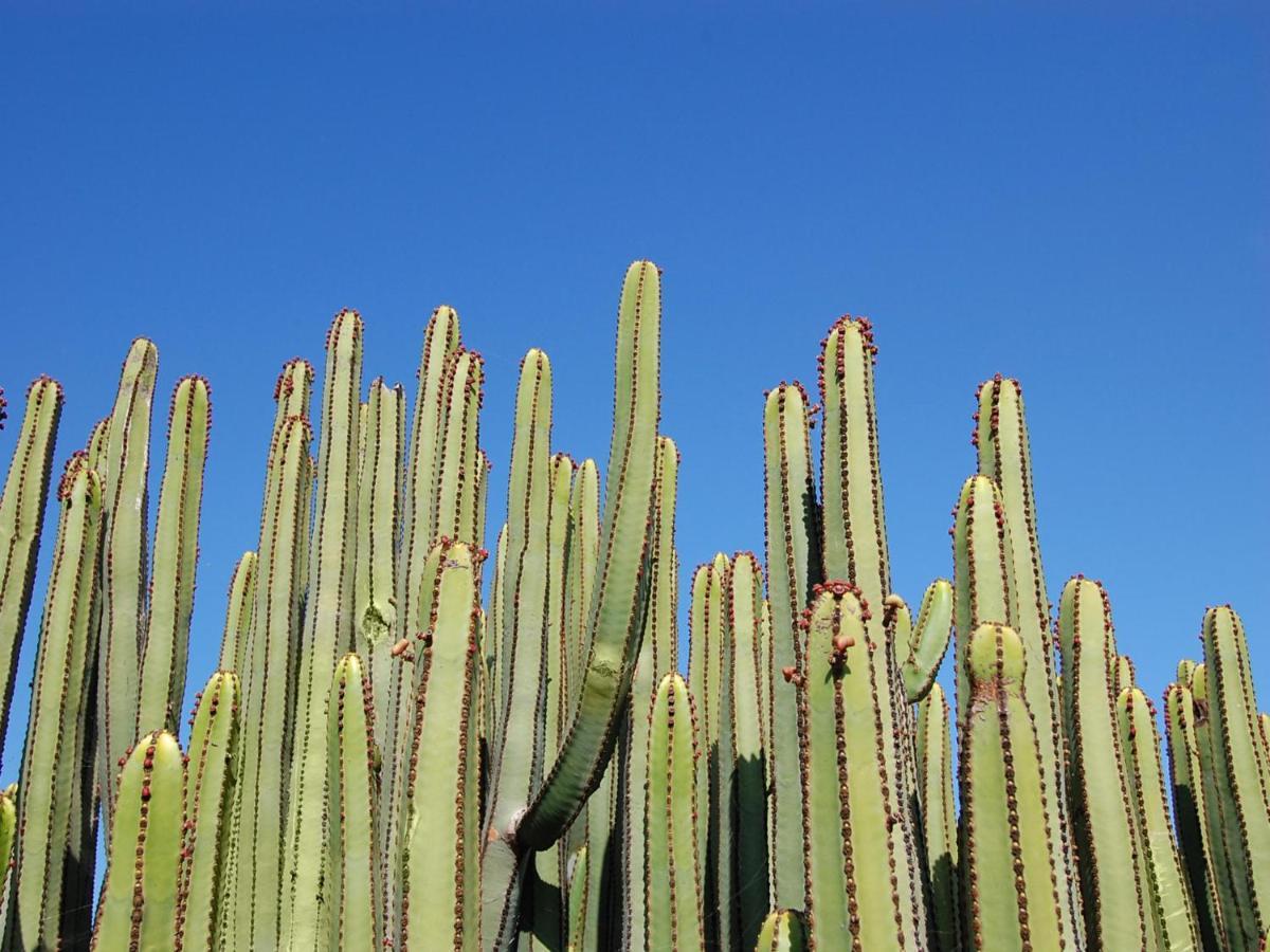 Los Lagos 20 By Villagrancanaria Salobre  Eksteriør bilde